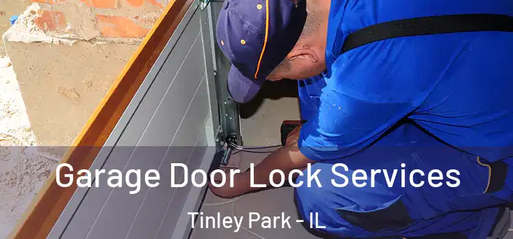 Garage Door Lock Services Tinley Park - IL