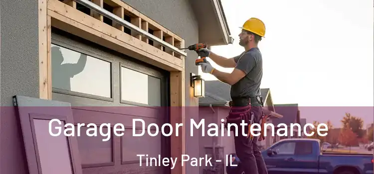 Garage Door Maintenance Tinley Park - IL
