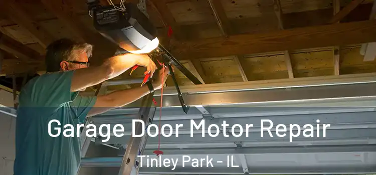  Garage Door Motor Repair Tinley Park - IL