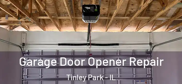  Garage Door Opener Repair Tinley Park - IL