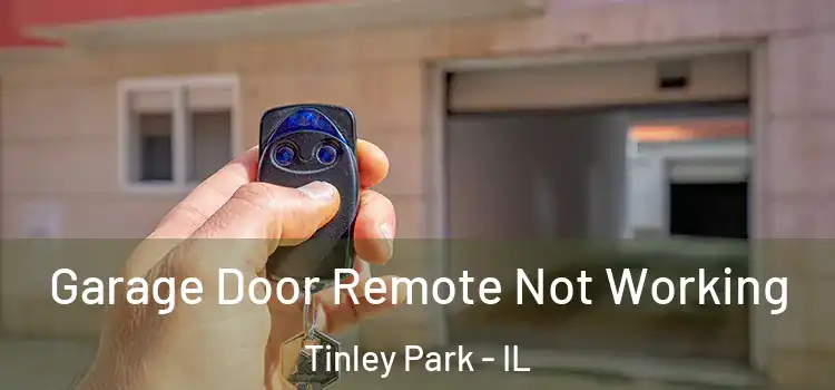  Garage Door Remote Not Working Tinley Park - IL