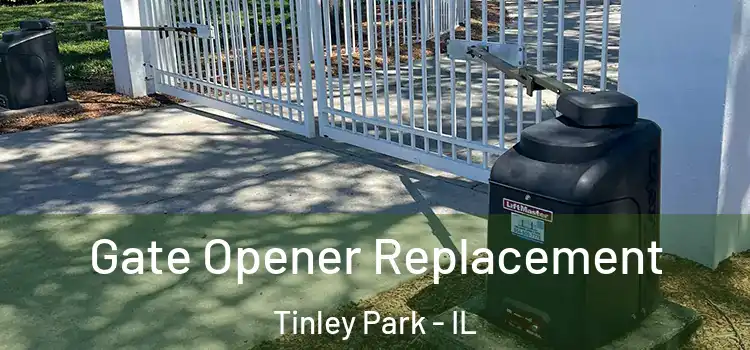 Gate Opener Replacement Tinley Park - IL