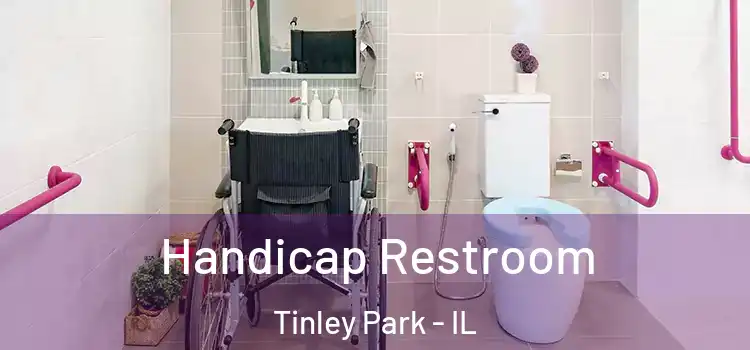  Handicap Restroom Tinley Park - IL