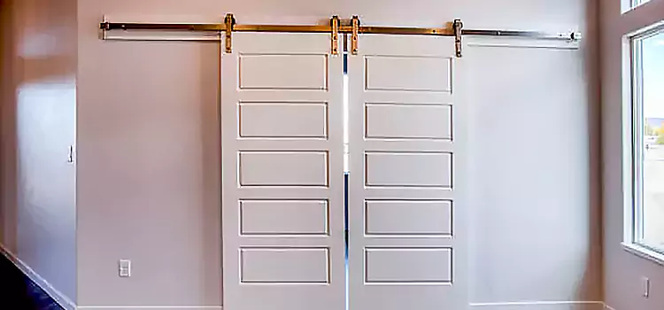 Glass Barn Door with Installation Hardware Kit Tinley Park