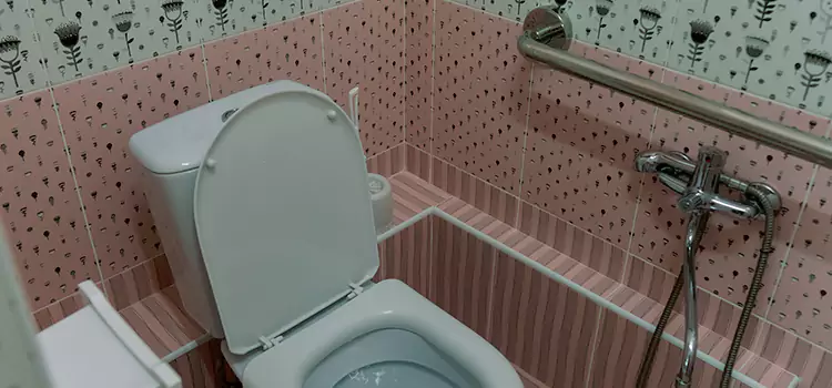 Meeting Diverse Needs With Accessible Restroom Solutions in Tinley Park, IL