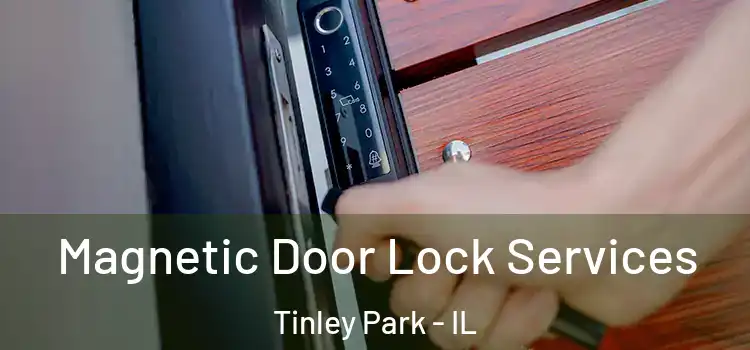 Magnetic Door Lock Services Tinley Park - IL